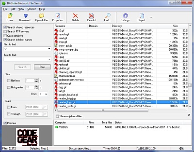 Скриншот 10-Strike Network File Search